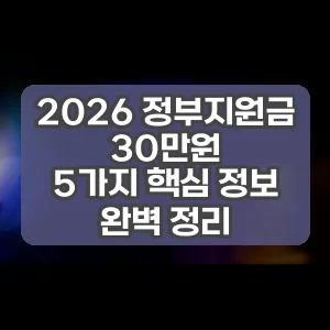 2026 정부지원금 30만원 | 5가지 핵심 정보 완벽 정리