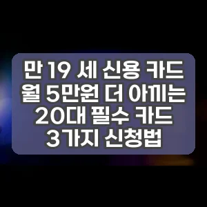 만 19 세 신용 카드 | 월 5만원 더 아끼는 20대 필수 카드 3가지 신청법