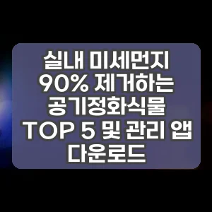 실내 미세먼지 90% 제거하는 공기정화식물 TOP 5 및 관리 앱 다운로드