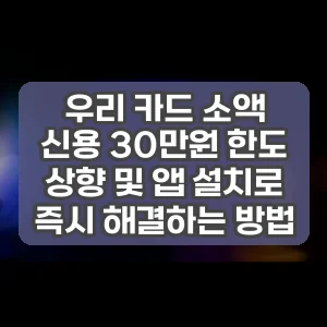 우리 카드 소액 신용 30만원 한도 상향 및 앱 설치로 즉시 해결하는 방법