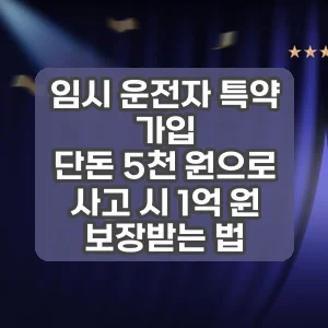 임시 운전자 특약 가입 | 단돈 5천 원으로 사고 시 1억 원 보장받는 법