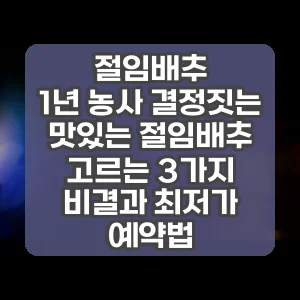 절임배추 | 1년 농사 결정짓는 맛있는 절임배추 고르는 3가지 비결과 최저가 예약법