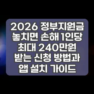 2026 정부지원금 놓치면 손해 1인당 최대 240만원 받는 신청 방법과 앱 설치 가이드