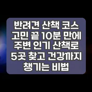 반려견 산책 코스 고민 끝 10분 만에 주변 인기 산책로 5곳 찾고 건강까지 챙기는 비법