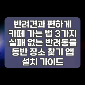 반려견과 편하게 카페 가는 법 3가지 실패 없는 반려동물 동반 장소 찾기 앱 설치 가이드