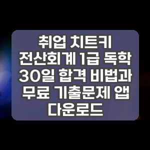 취업 치트키 전산회계 1급 독학 30일 합격 비법과 무료 기출문제 앱 다운로드